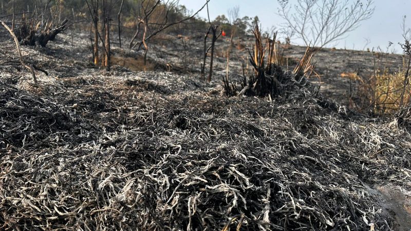 Grande parte dos focos de incêndios em vegetações são iniciados pela ação humana