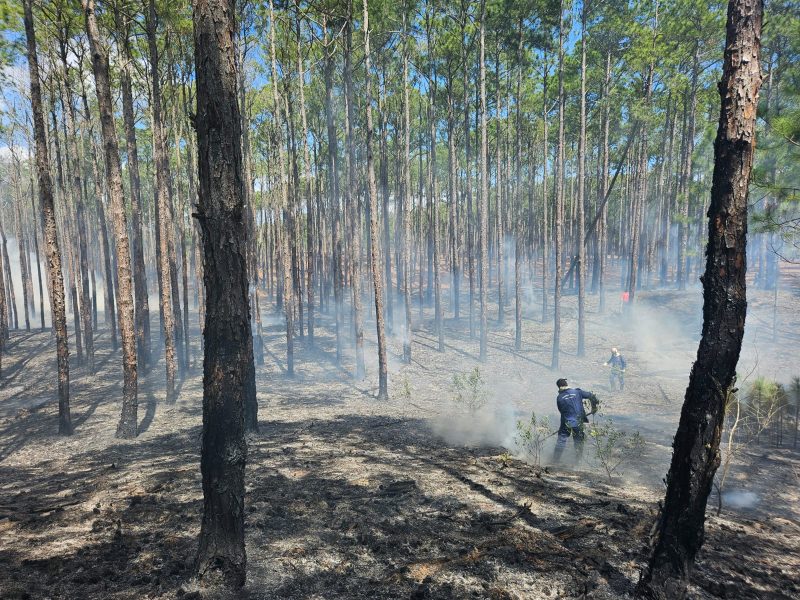 Incêndio na Praia do Moçambique é inaceitável