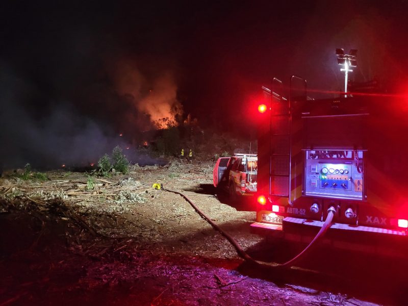 O incêndio em vegetação foi na madrugada desta quinta-feira (12). 