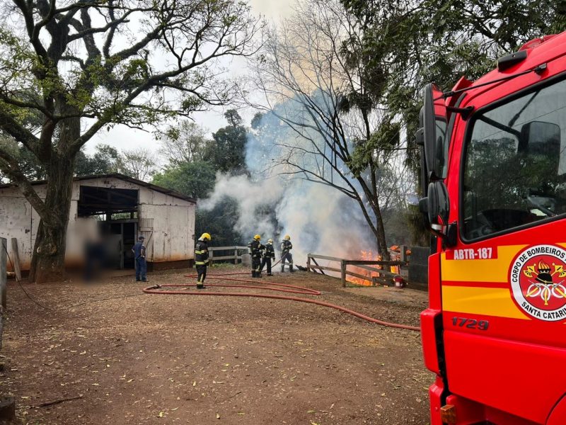 A baia de cavalos foi destruída por um incêndio.