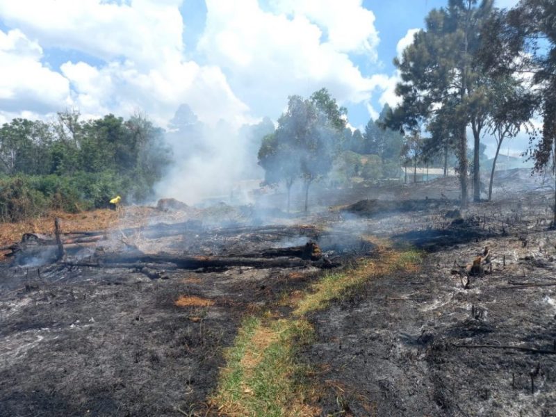 Incêndios florestais foram registrados em várias cidades do Planalto Norte