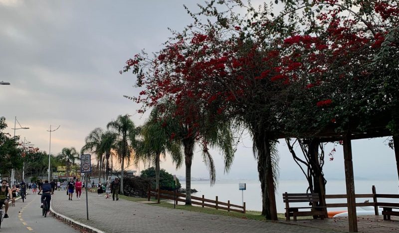 Primavera inicia com tempo estável, mas período deve ser marcado por frio e chuvas frequentes em Santa Catarina