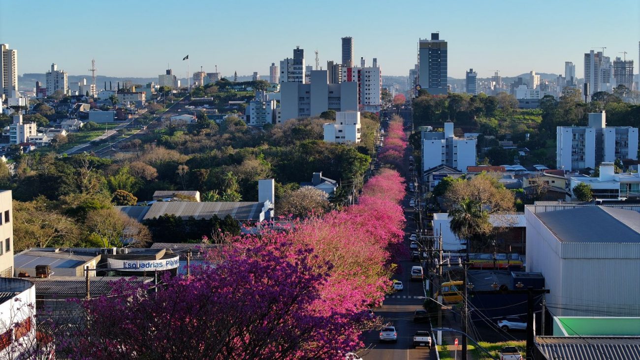 Avenida Nereu Ramos durante a primavera - PMC/Divulgação