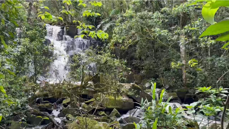 Cachoeiras também estão no roteiro de quem vai no Jardim Botânico do Alto Vale