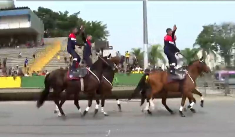 Oficial da Cavalaria morre durante desfile de 7 de setembro em São Paulo