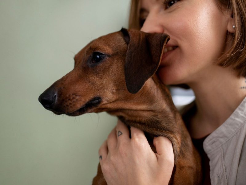 A imagem mostra um cachorro salsicha no colo de uma mulher branca com cabelos curtos.