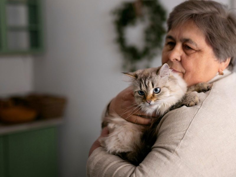 A imagem mostra uma senhora segurando um gato peludo.