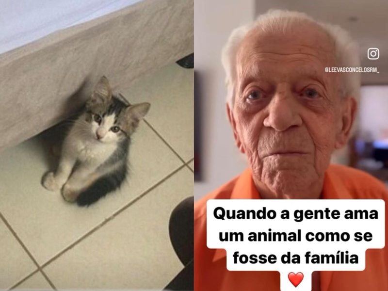 A imagem mostra um gato e um senhor de idade