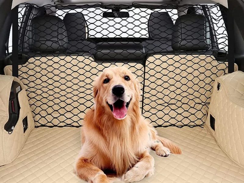 A imagem mostra um cachorro da raça golden de grande porte dentro de um carro com grade de segurança.