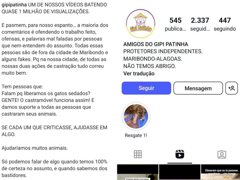 A imagem mostra prints da página do Instagram dos protetores independentes de animais Amigos do Gipi Patinha