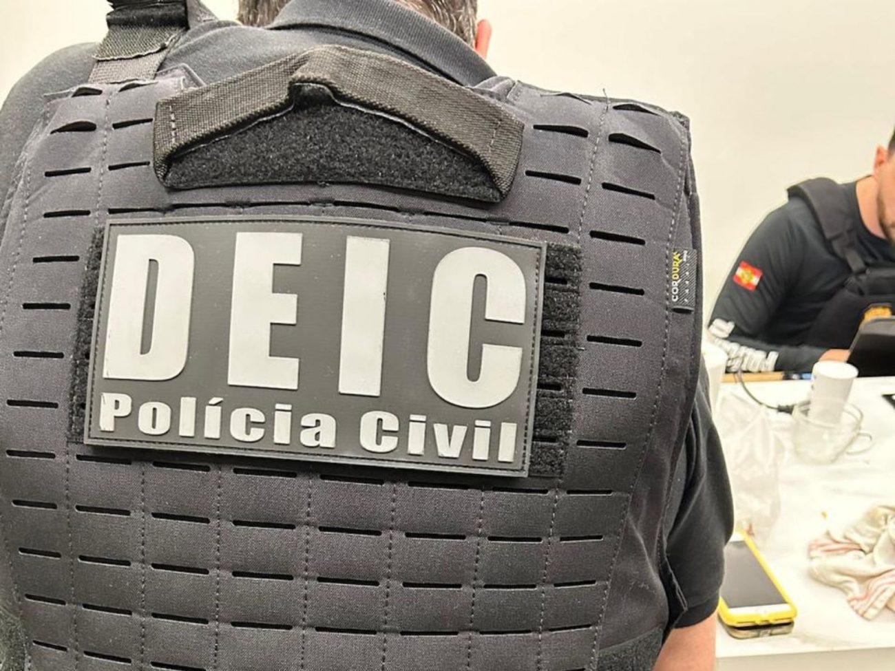 Operação Elysuim, na manhã desta terça-feira (3), cumpriu mandados de busca domiciliar e afastou dois servidores públicos - Polícia Civil/Reprodução/ND