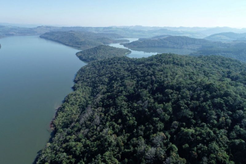 O nome do Parque é uma homenagem ao entomólogo alemão Fritz Plaumann; saiba detalhes do espaço 