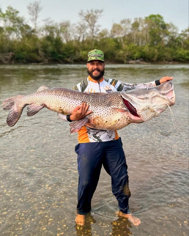 Romário Godez segurando o maior peixe-pintado já pescado no Brasil