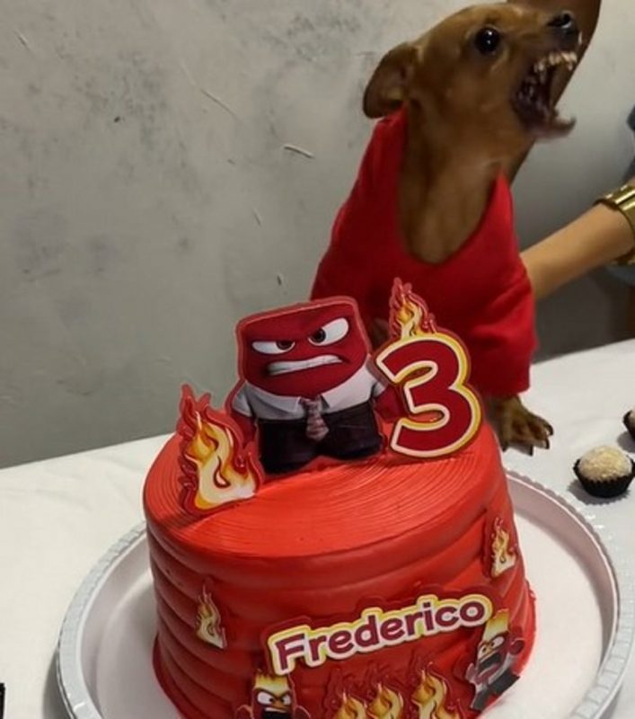 Pinscher rosnando para seu bolo de aniversário temático