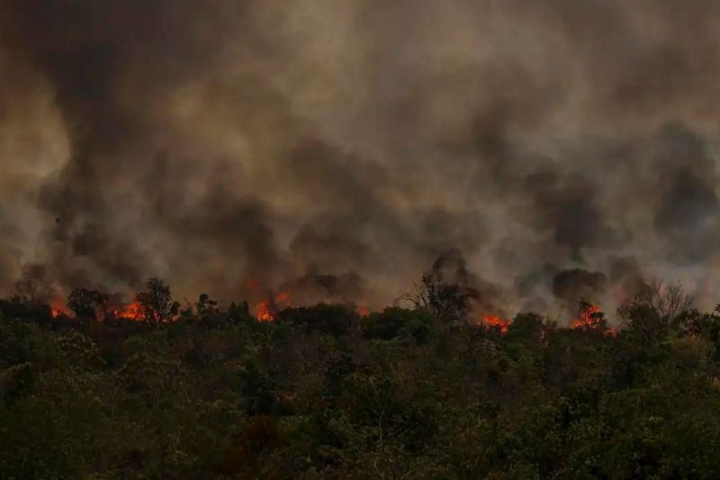 Pantanal, Amazônia e o Cerrado foram os biomas mais atingidos pelas queimadas este ano 