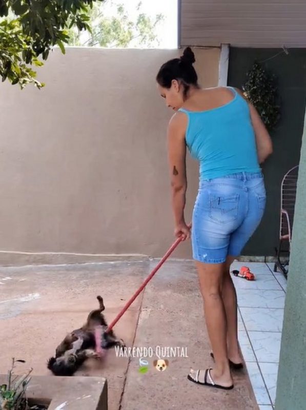 Tutora varrendo seu cachorro