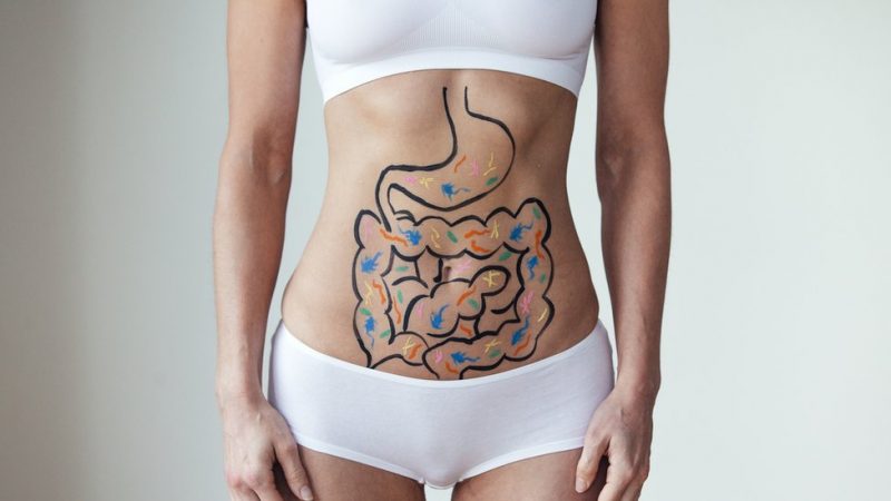 Corpo de uma mulher com o desenho do sistema digestivo na pele do abdomem 