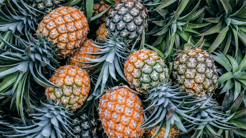 A fruta tem minerais e vegetais – Foto: Reprodução/ND