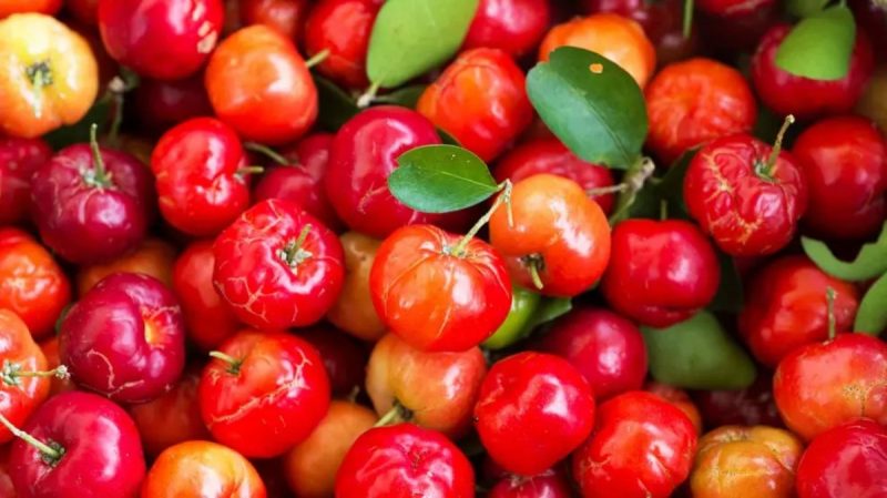 Acerola, que reduz o açúcar no sangue 