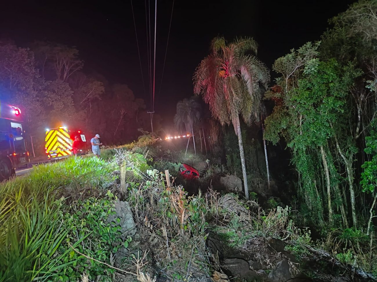 O veículo caiu cerca de 10 m em uma ribanceira, na noite de domingo (27).  - Bombeiros/Reprodução