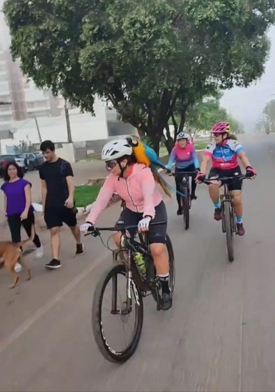 Ave pousou no ombro de cada ciclista presente - Instagram/Reprodução/ND