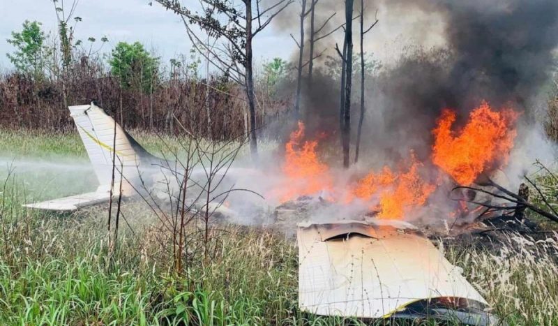 Avião com cocaína incendiado por tripulante após ação das forças de segurança - foto mostra avião branco em gramado, pegando fogo, em meio à área de mata