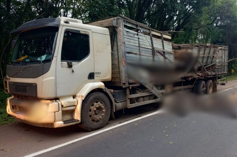 Acidente entre dois caminhões em Catanduvas 