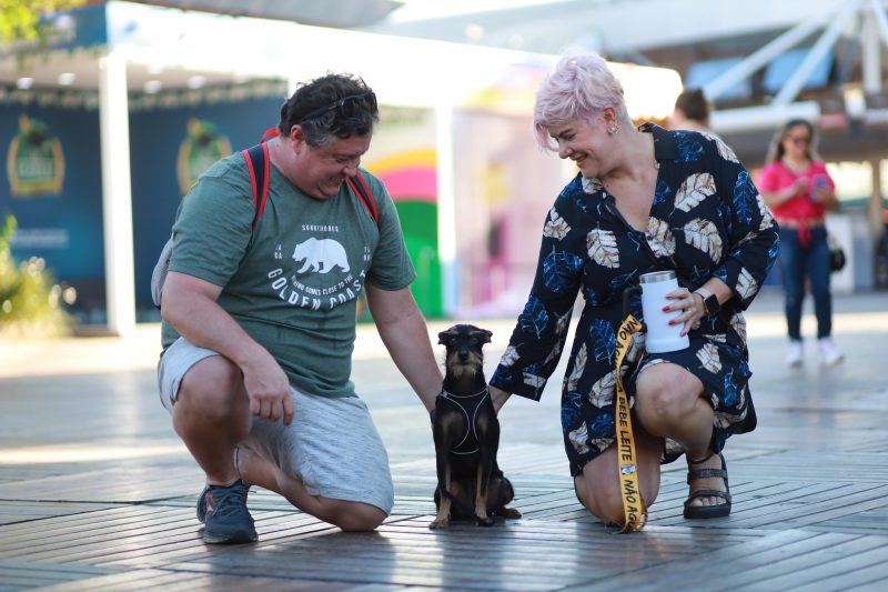 Cachorrinha Lola no meio dos tutores durante tarde na Oktoberfest Blumenau