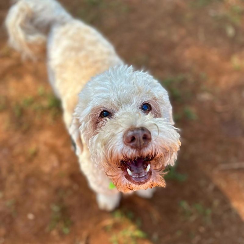 Bartho sorridente para foto tirada em parque