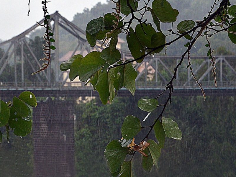 Chuva deve marcar o início da Oktoberfest em Blumenau 