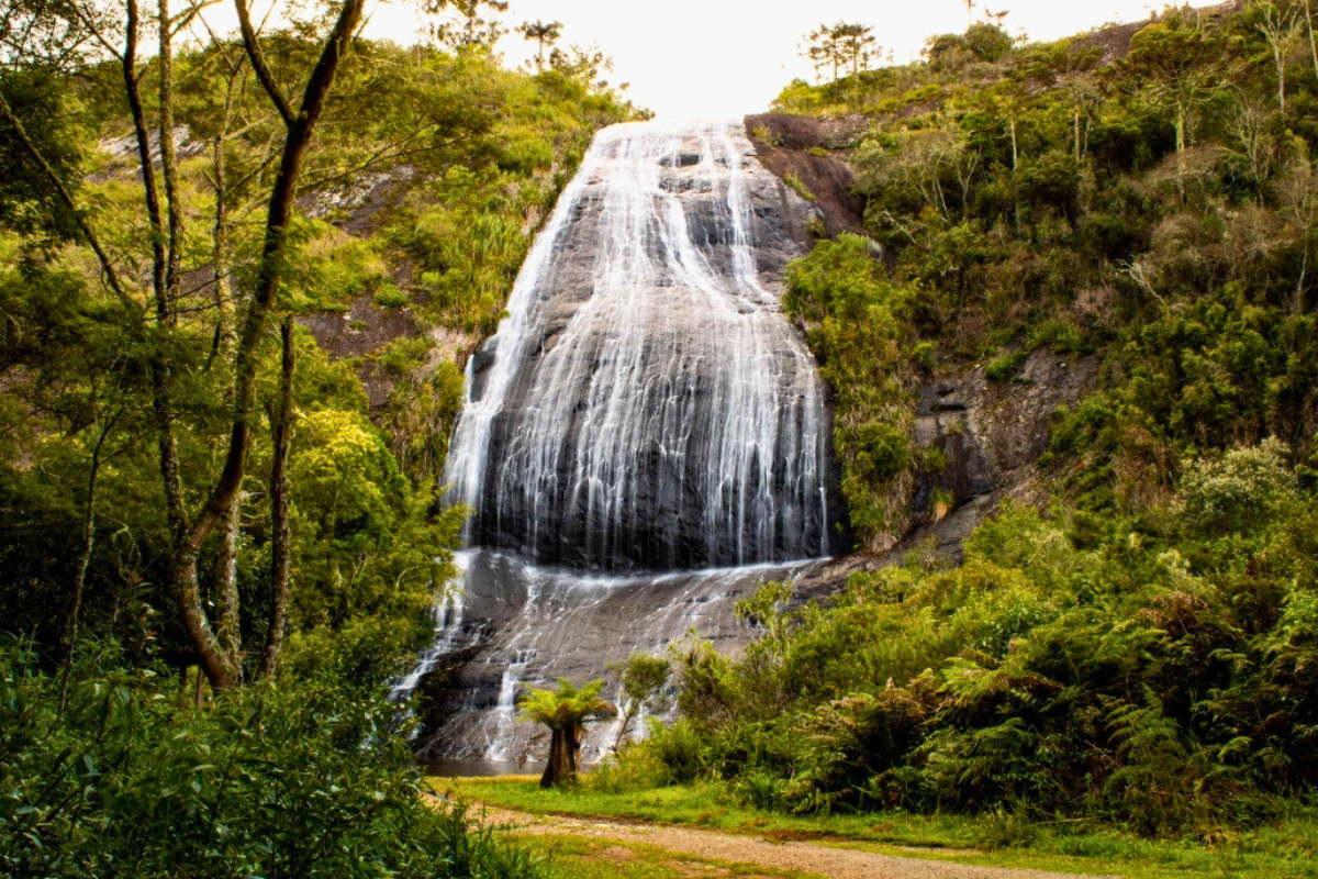 Vista aproximada da Cascata Véu de Noiva, em Urubici - EcoParque Cascata Véu de Noiva/Redes Sociais/Divulgação1