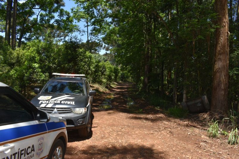 Pol&iacute;cia investiga cad&aacute;ver encontrado em &aacute;rea de mata em SC – Foto: Pol&iacute;cia Cient&iacute;fica/ND