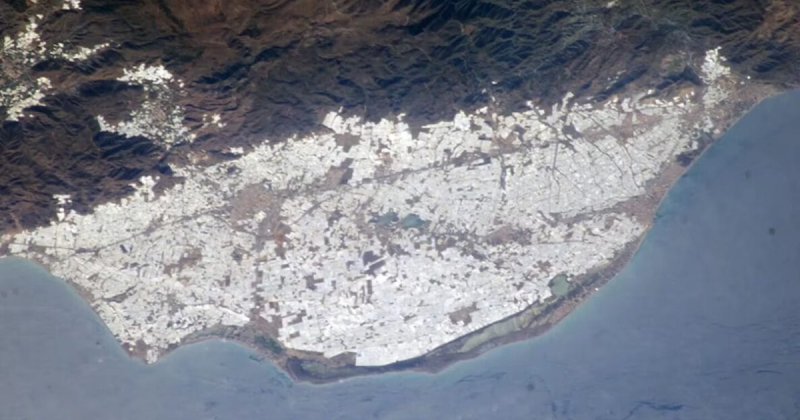 O impacto ambiental dessa gigantesca estrutura humana n&atilde;o passa despercebido. O uso de pl&aacute;sticos em larga escala nas estufas gerou preocupa&ccedil;&otilde;es – Foto: Divulga&ccedil;&atilde;o/ND