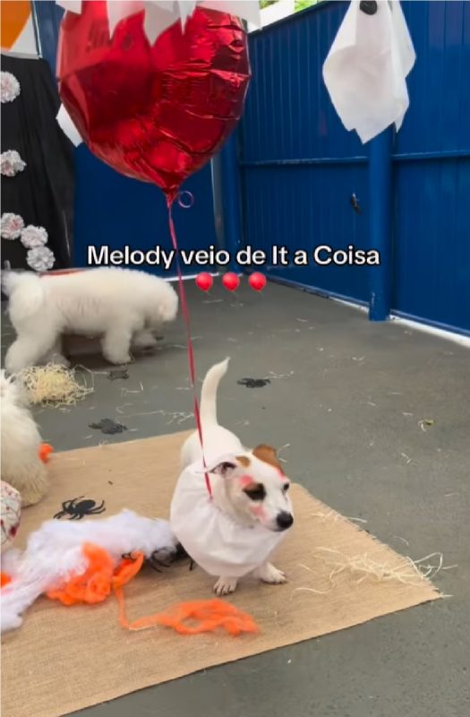 Cachorra fantasia de It a Coisa em festinha de Halloween em creche para pets