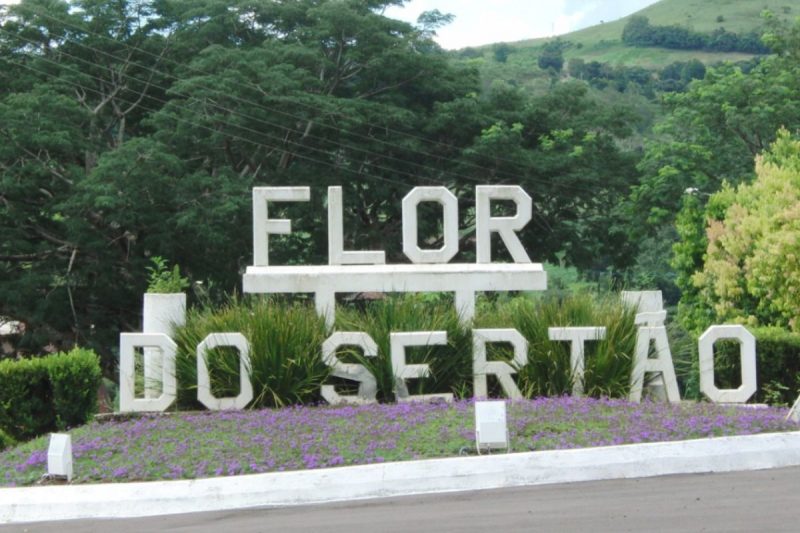 Flor do Sertão concentra o quinto menor eleitorado catarinense com 1.731 eleitores aptos a votar