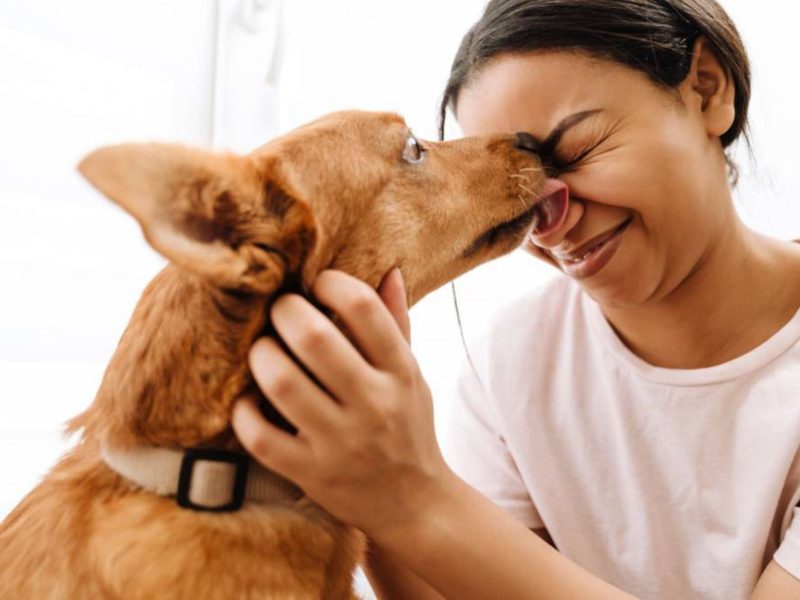 Luto pela perda de um pet.