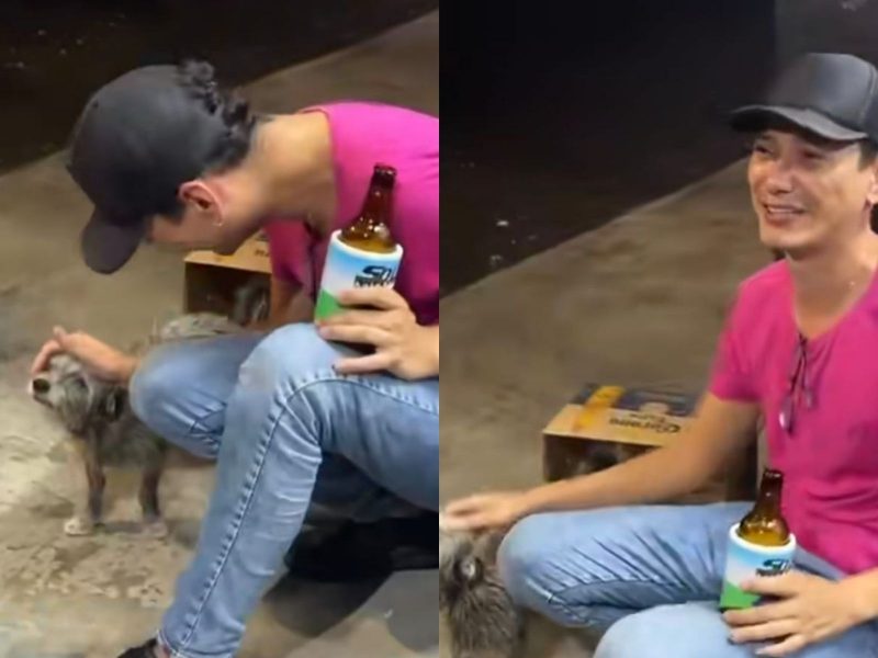 A imagem mostra um cão e um homem de camiseta rosa e boné.