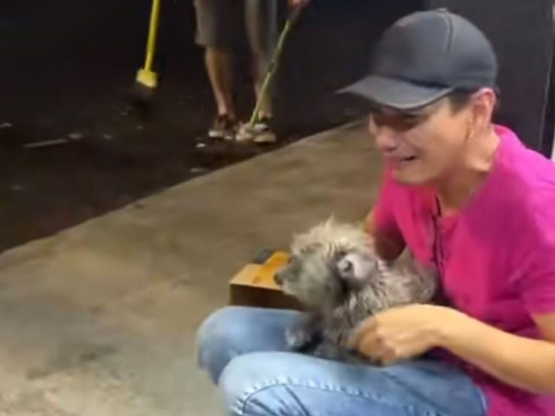 Os usu&aacute;rios da plataforma se divertiram com a emo&ccedil;&atilde;o de Felipe – Foto: Internet/Reprodu&ccedil;&atilde;o ND