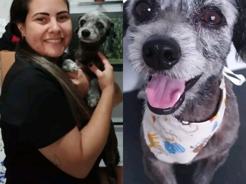 A imagem mostra uma mulher segurando um cachorro e ao lado um cão com uma lenço.