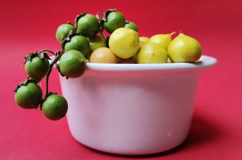 na foto aparece uma bacia de nanches uma fruta repleta de vitamina c