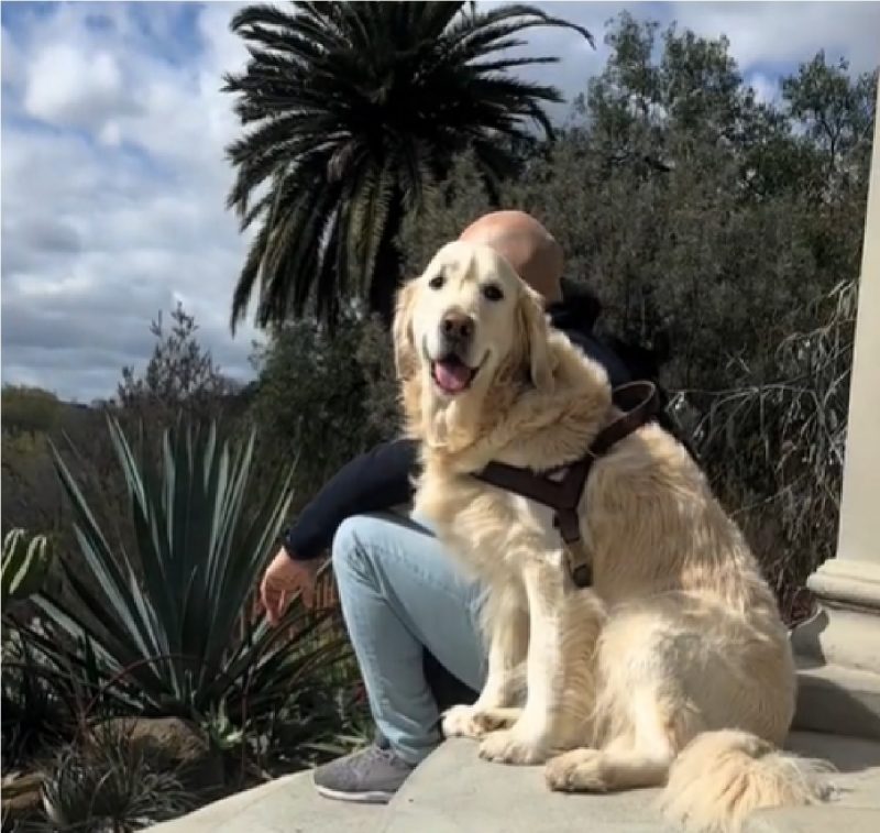 Golden Retriever sentado ao lado de pessoa desconhecida em escadaria 