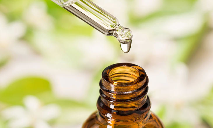 &Oacute;leos essenciais ajudam na mem&oacute;ria – Foto: Reprodu&ccedil;&atilde;o/ND