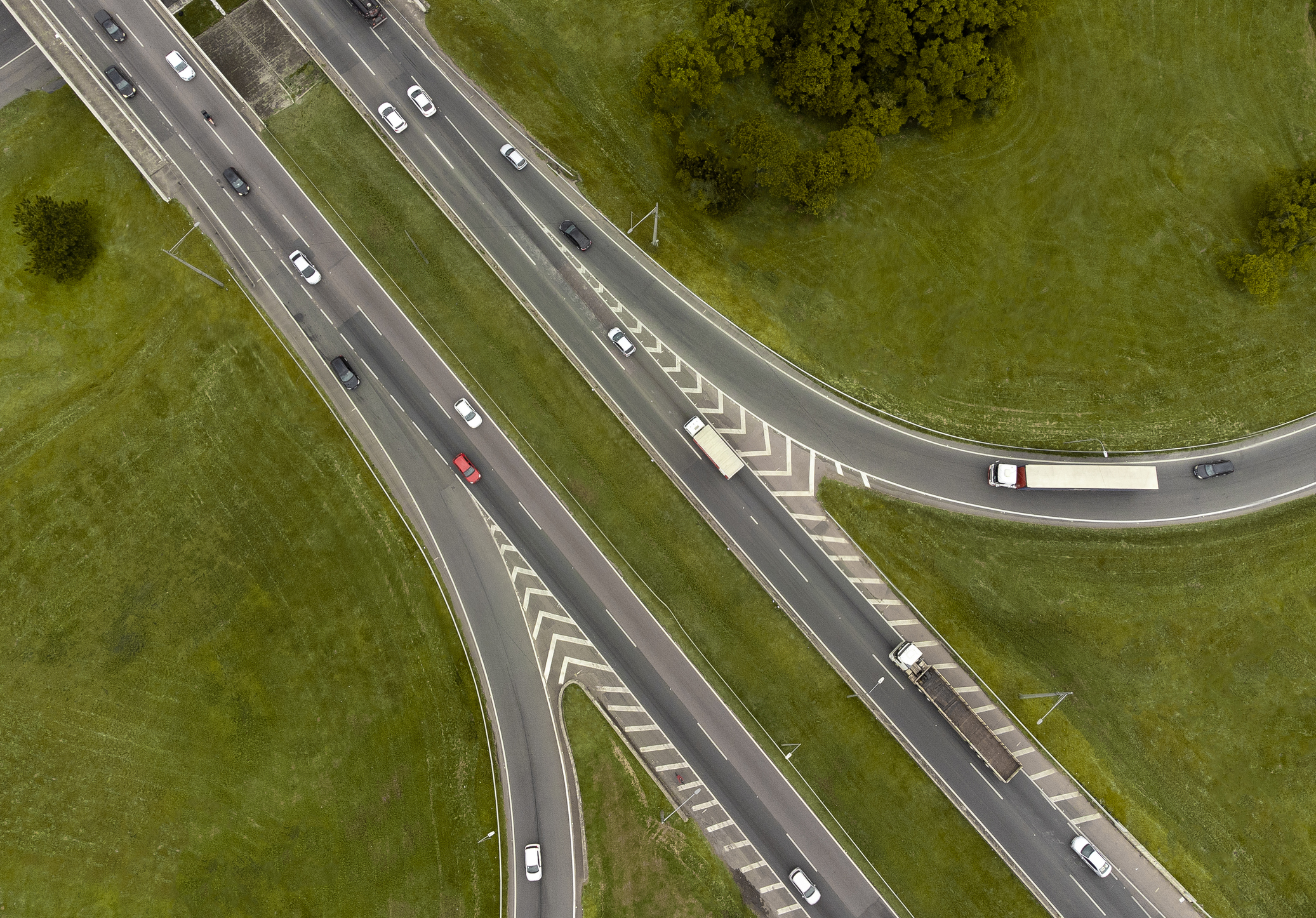 Estado de conservação 