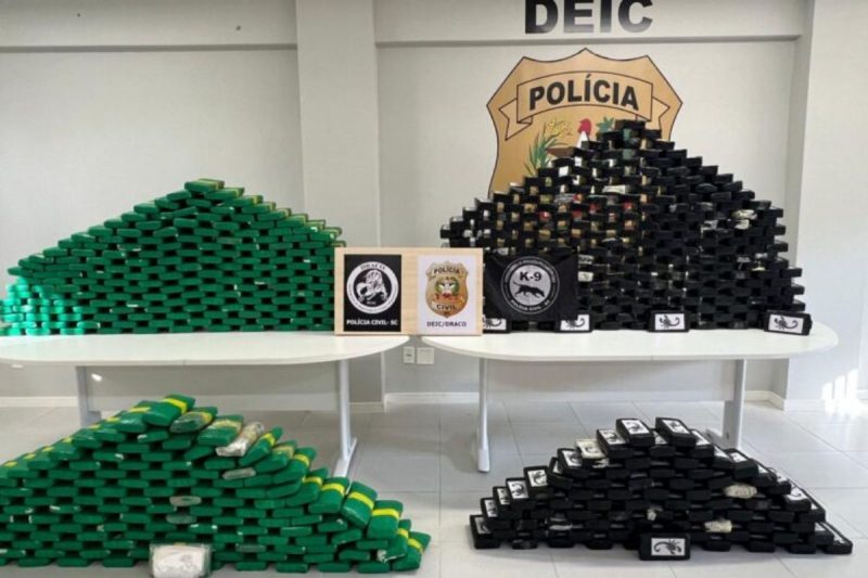 Esta foi a maior apreensão desse tipo de droga pela Polícia Civil no Estado &#8211; Foto: PCSC/Divulgação