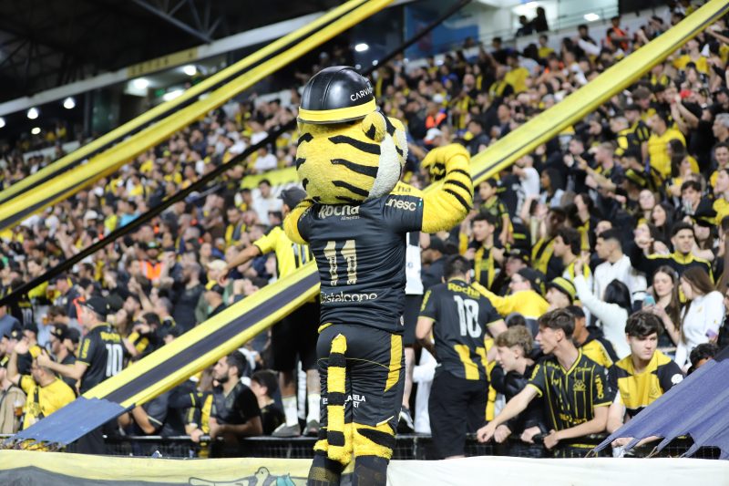 Mascote faz a festa com a torcida do Criciúma