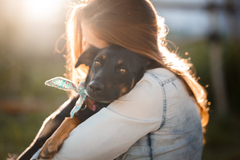 Companhia de primeira hora: adotar um cachorro é um ato de amor e tem muitas vantagens