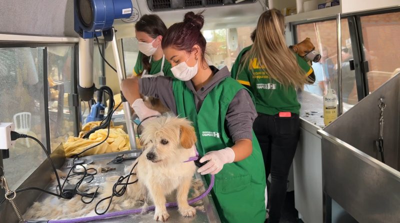 Núcleo de Atenção aos Pequenos Animais