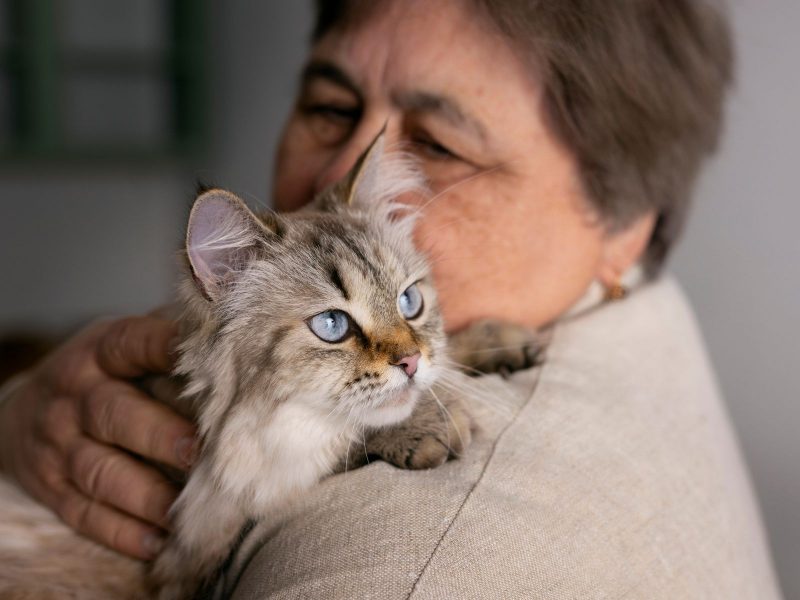 A imagem mostra uma senhora com um felino no colo.