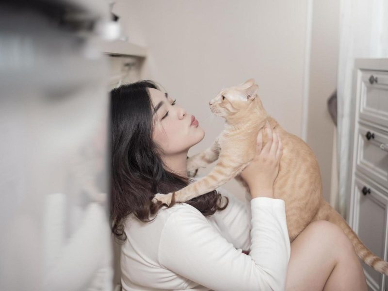 A imagem mostra uma mulher de cabelos pretos brincando com gato laranja