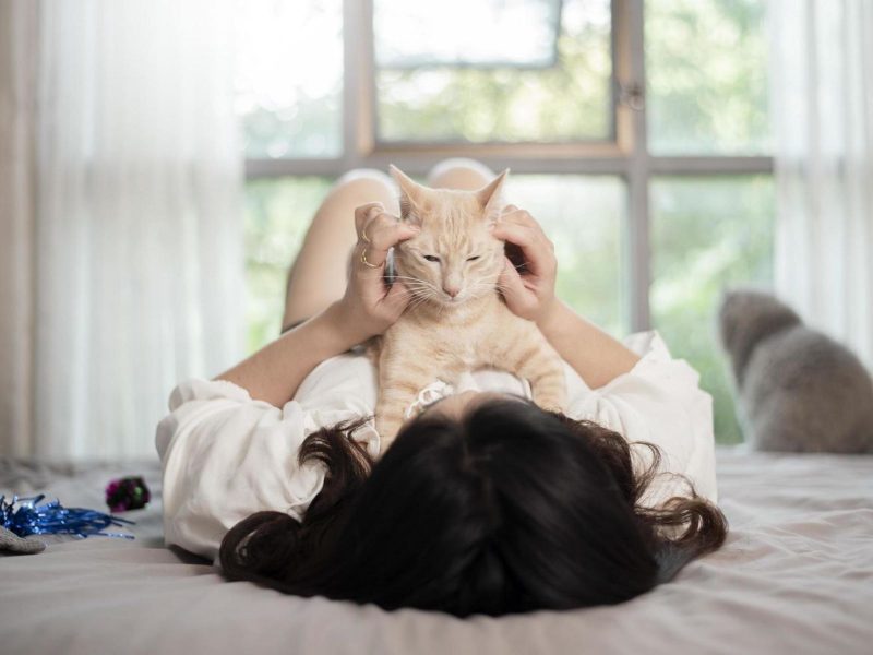 A imagem mostra uma mulher e um gato laranja deitados.